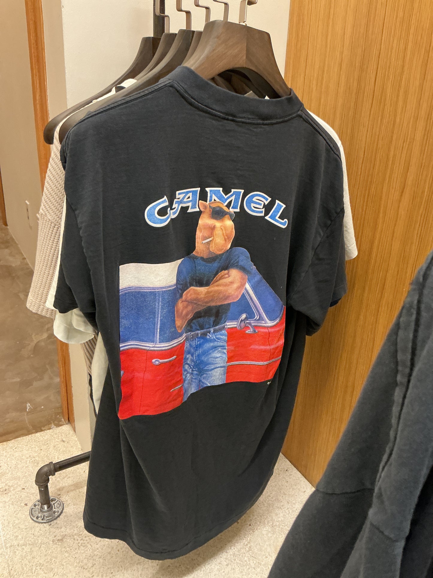 Camel