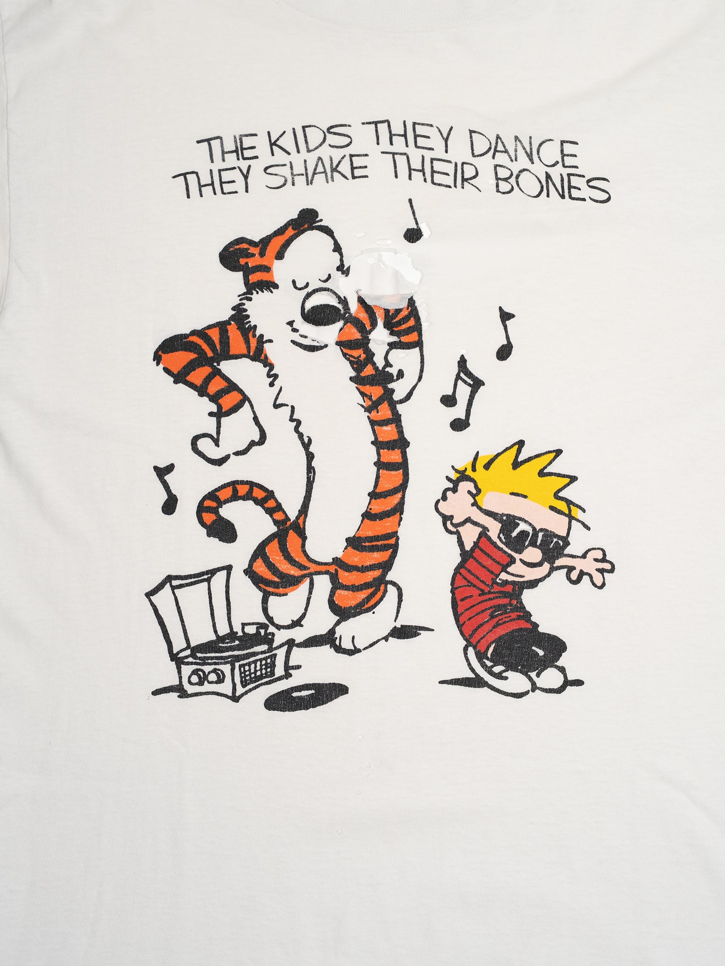 CALVIN AND HOBBS