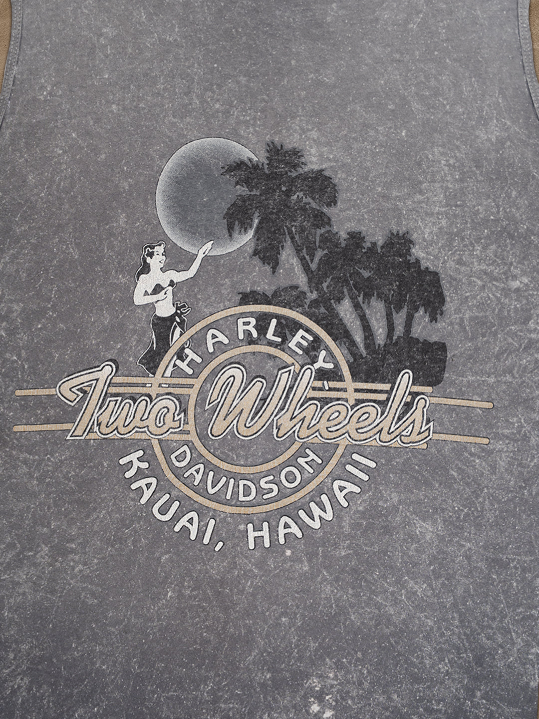 HARLEY DAVIDSON close up 2
