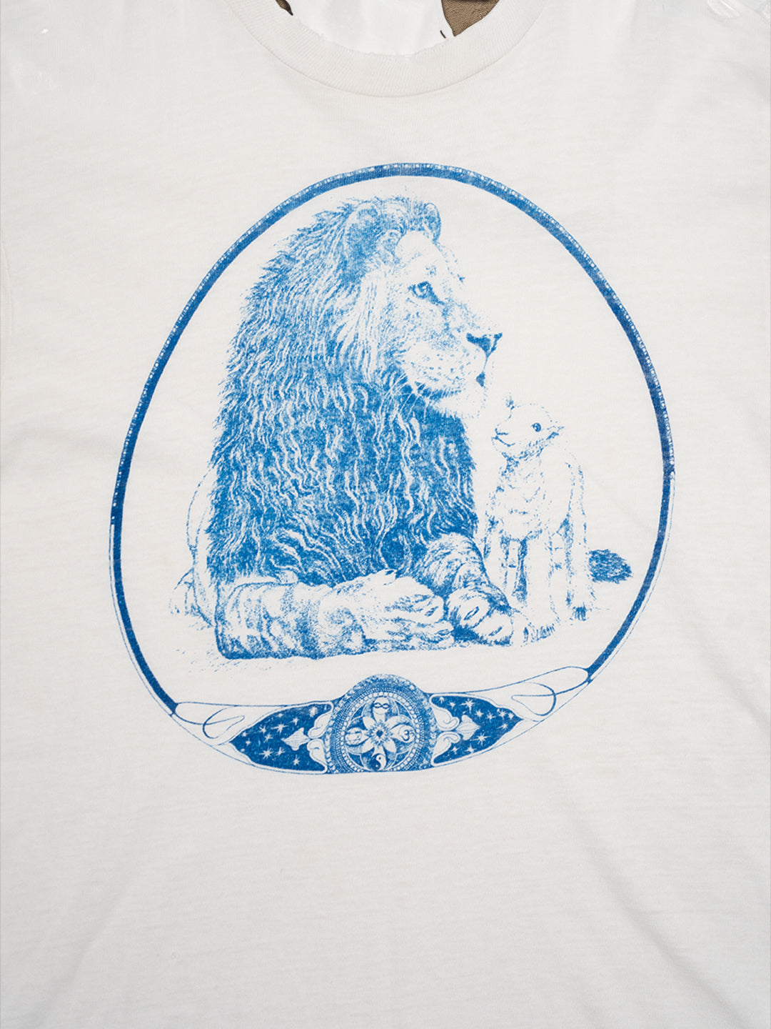 LION close up