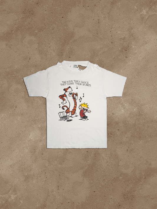 CALVIN AND HOBBS