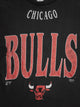 CHICAGO BULLS
