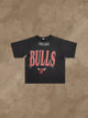 CHICAGO BULLS