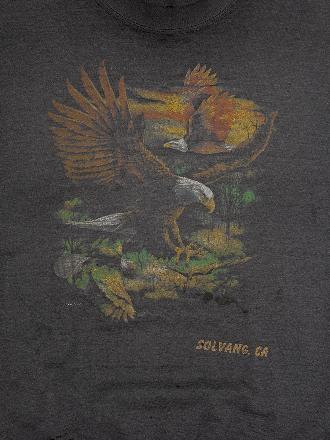 EAGLE close up