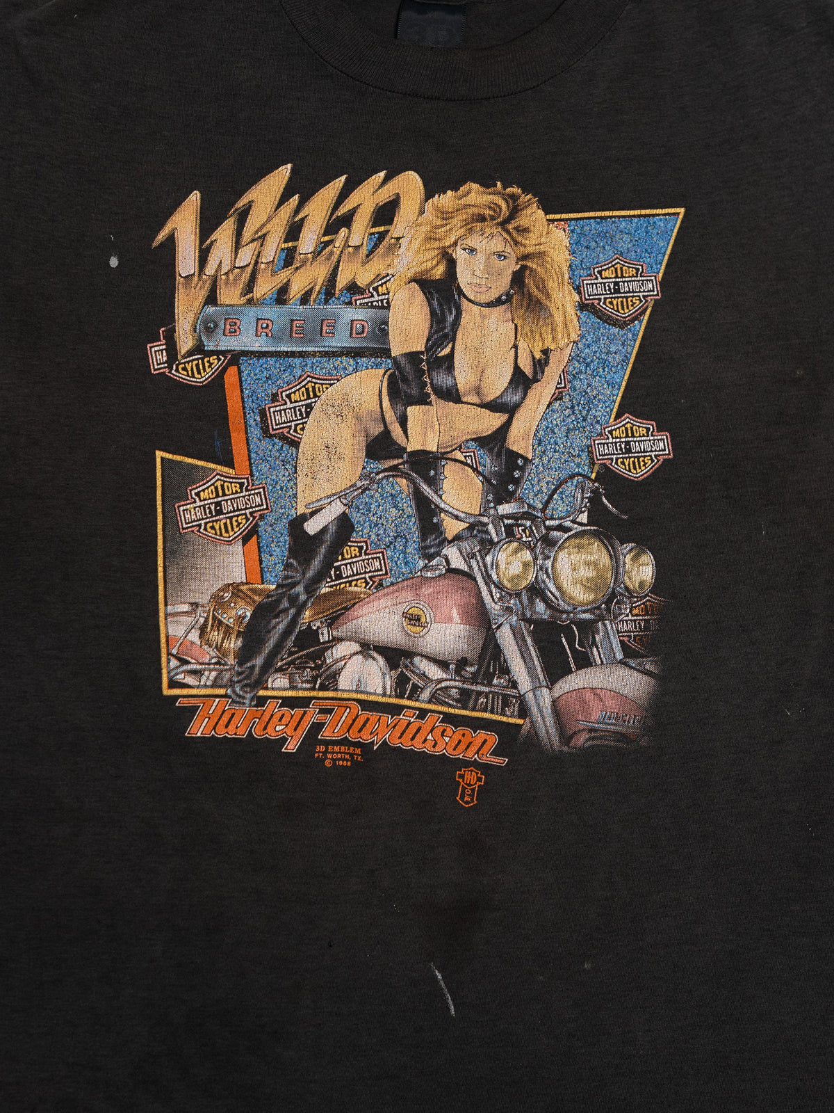 HARLEY DAVIDSON RALLY