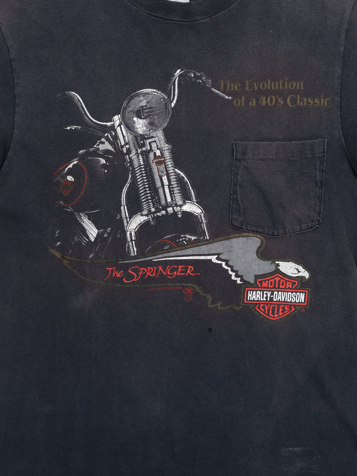 HARLEY DAVIDSON SPRINGER