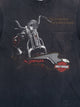HARLEY DAVIDSON SPRINGER