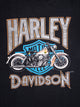 HARLEY DAVIDSON MOTORCYCLE