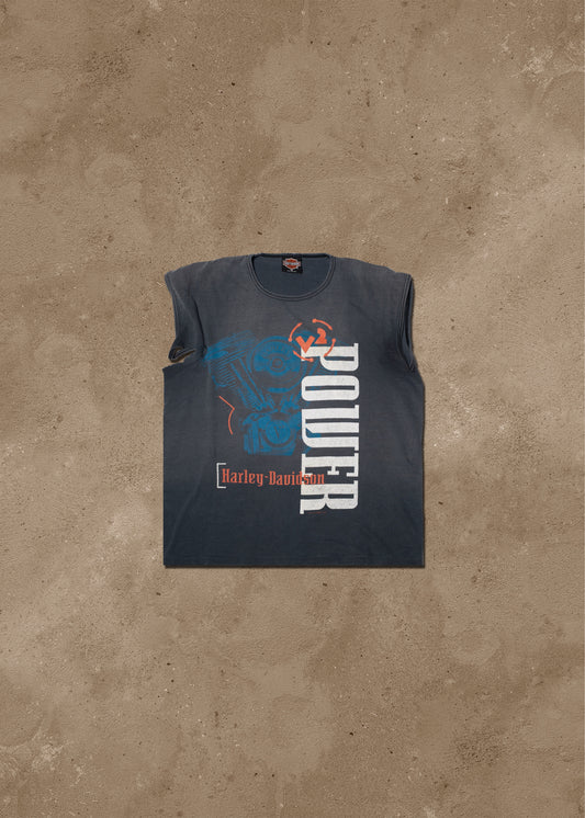 Harley Davidson V2