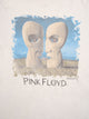 PINK FLOYD '94 close up
