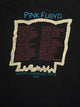 PINK FLOYD '94 close up 2