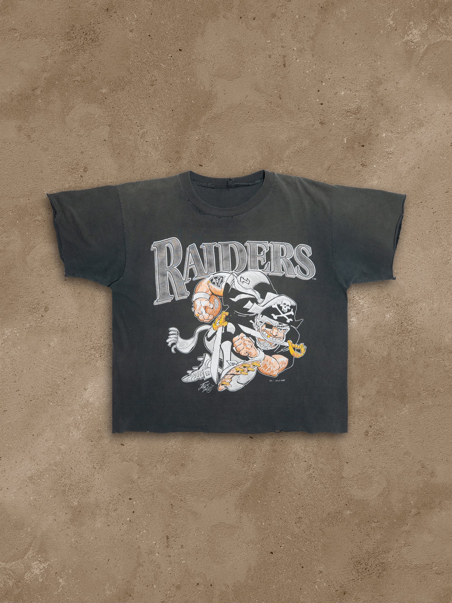 RAIDERS