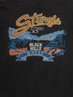 STURGIS
