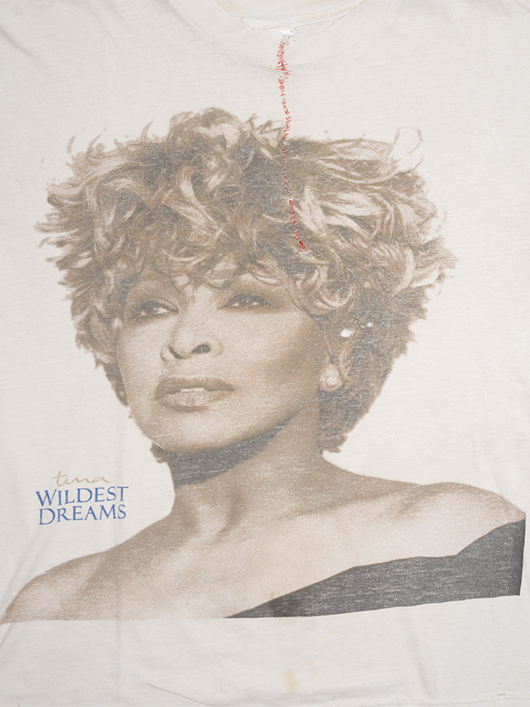 TINA TURNER close up